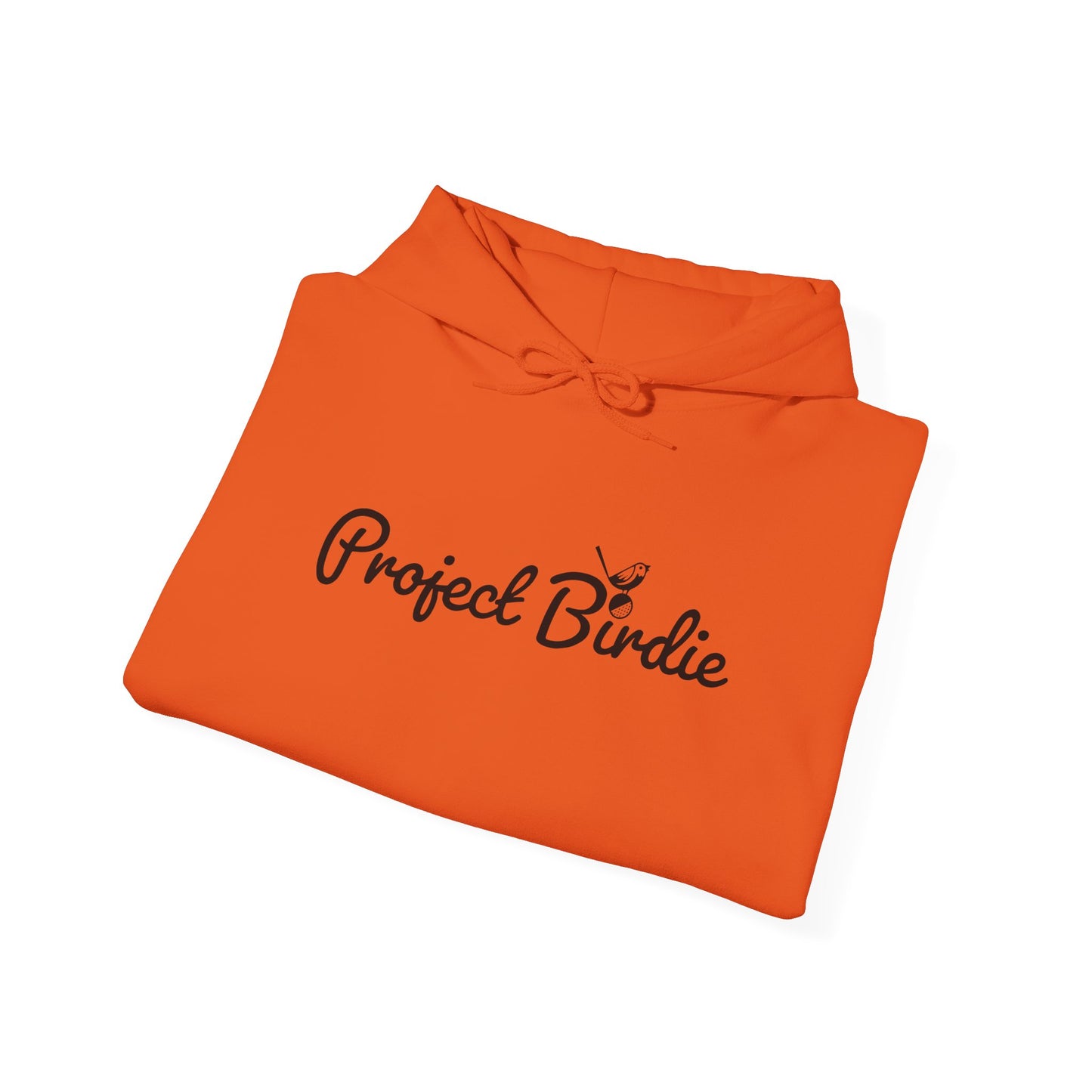 Project Birdie Hoodie