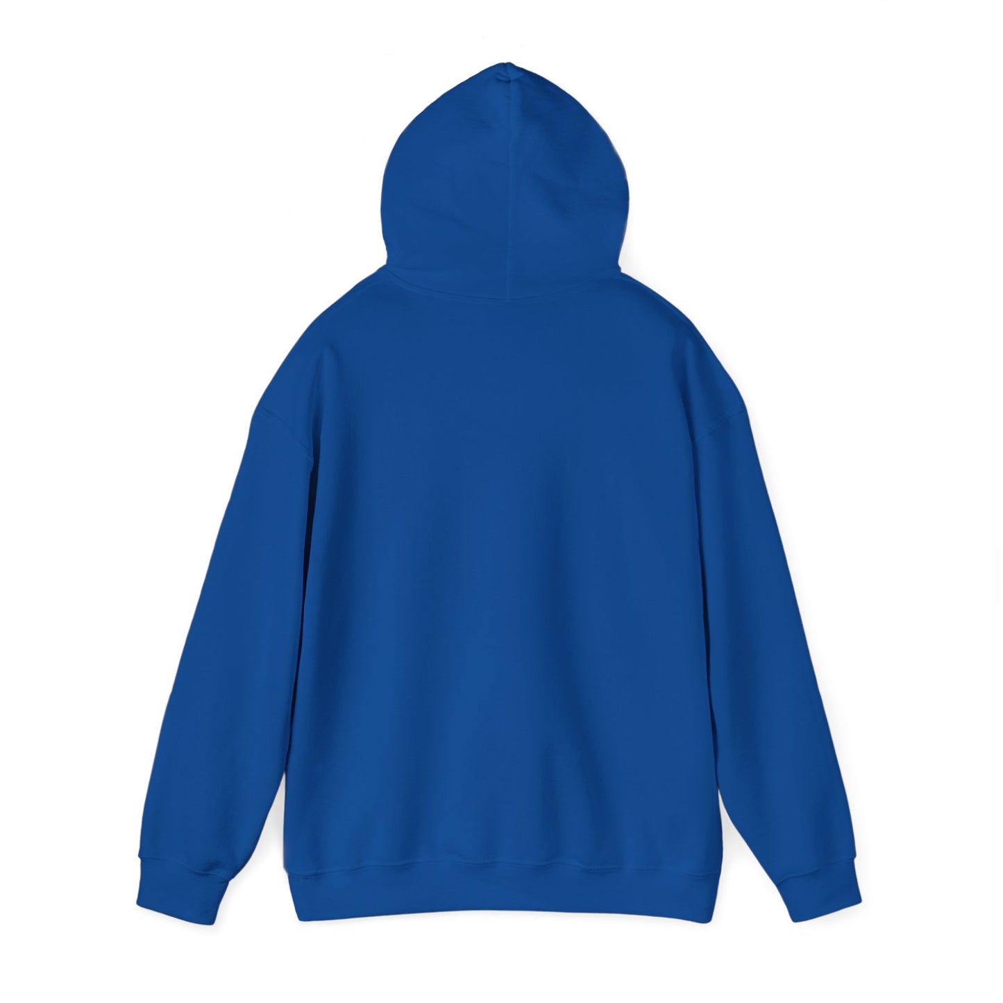 Project Birdie Hoodie