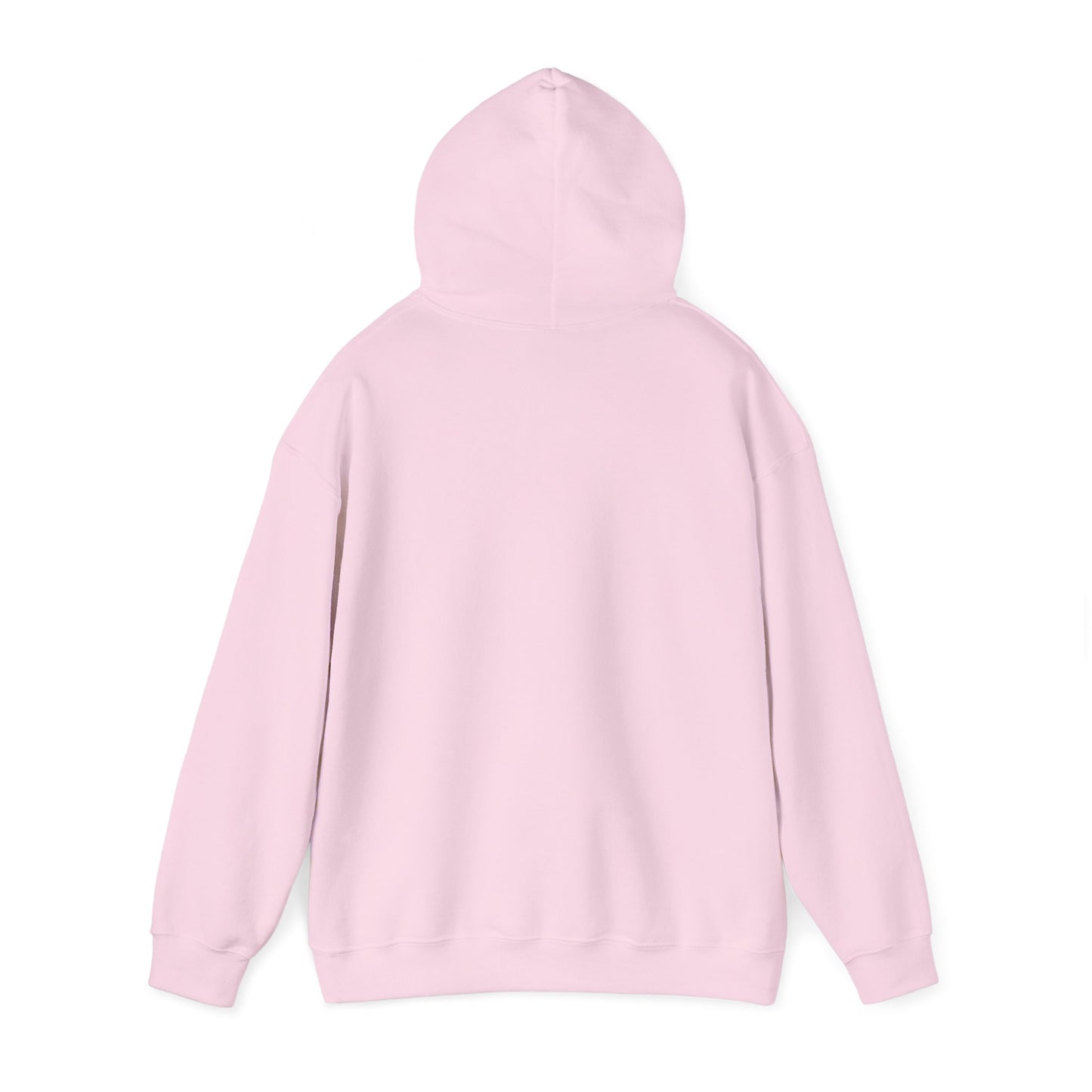Project Birdie Hoodie