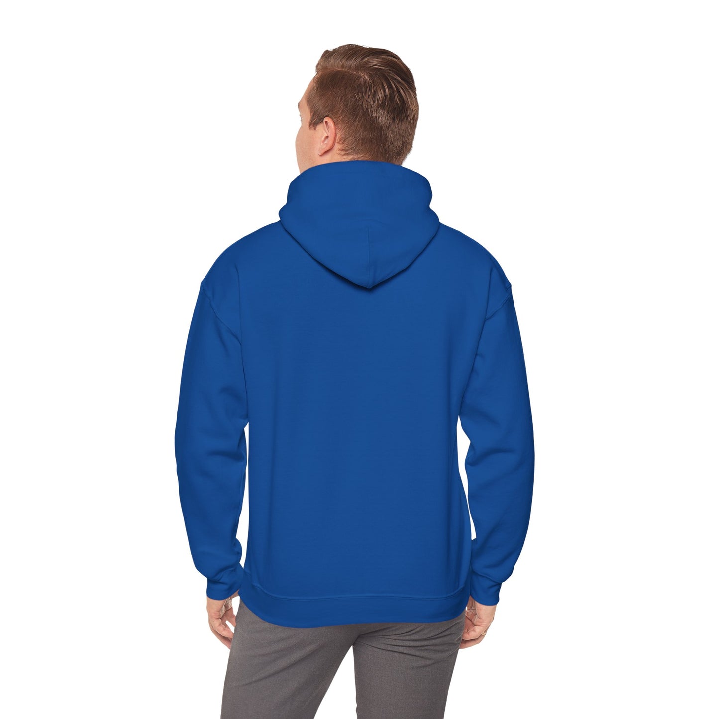 Project Birdie Hoodie