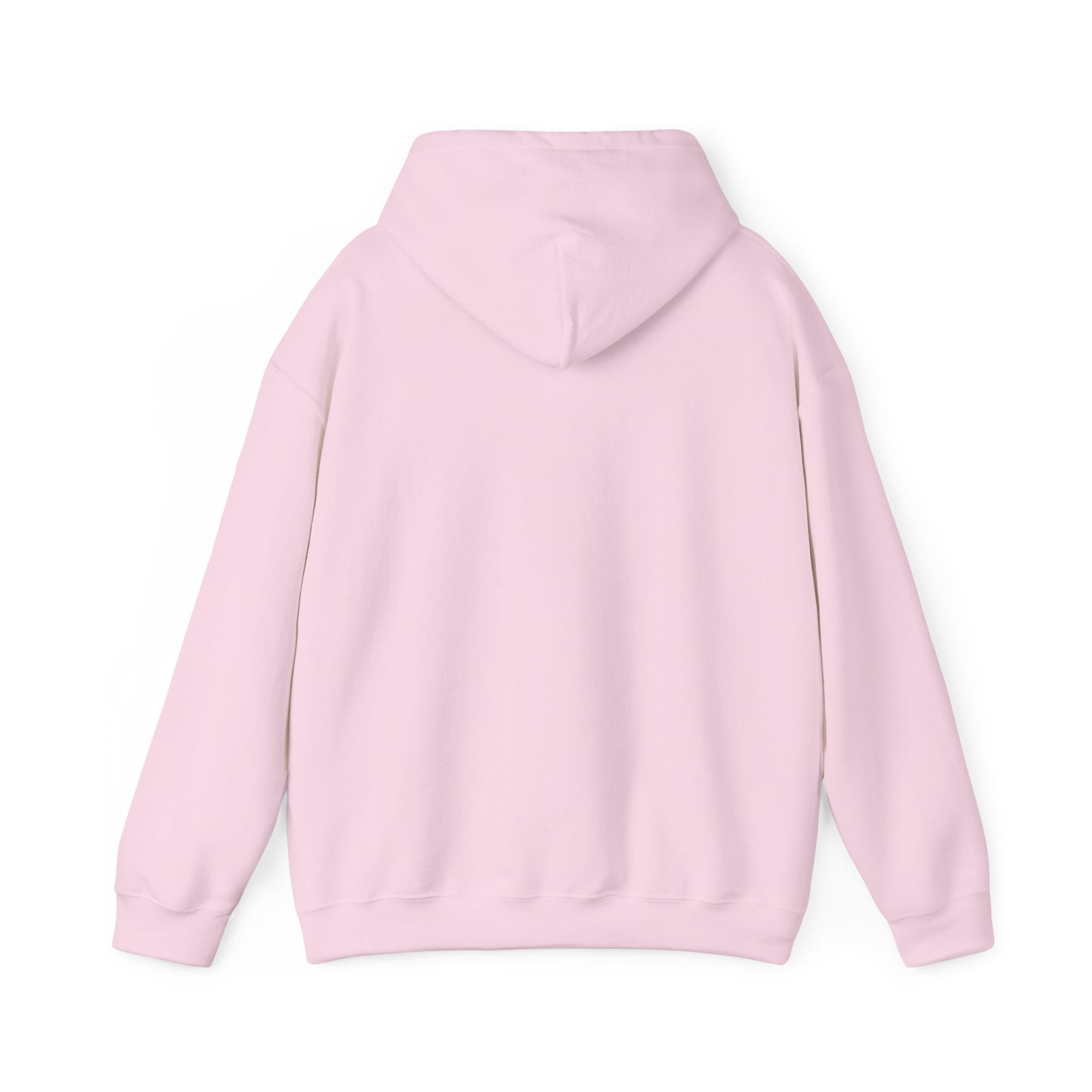 Project Birdie Hoodie