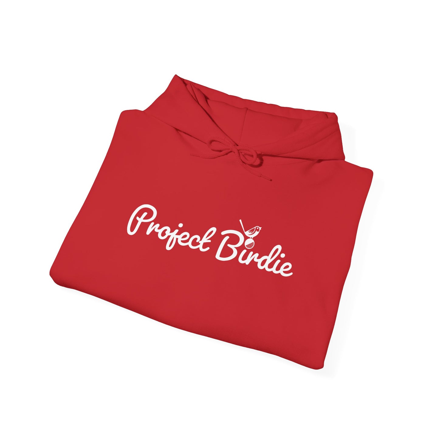 Project Birdie Hoodie